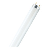 Tubo Fluorescente 18w T8 Luz Fría 60 Cm