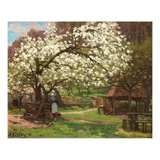 Fruteira Florida - Sisley - Tela Para Quadro