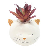 Vaso Decorativo De Gato Com Suculenta