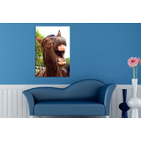 Vinilo Decorativo 50x75cm Caballo Campo Horse Vinil M11