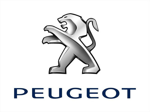 Entrada Auxiliar Para Estereo Peugeot Partner 207 (floresta)