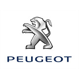 Entrada Auxiliar Para Estereo Peugeot Partner 207 (floresta)