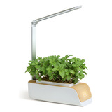 Kit Grow Light Para Jardín Con Cultivo Hidropónico En Interi