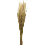 Folhagem Preservada Pulguinha Natural 60cm