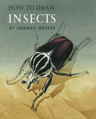 How To Draw Insects (facsimile Reprint)