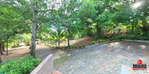 Finca En Venta En Sopetran - Vereda Miranda - Imagen 3