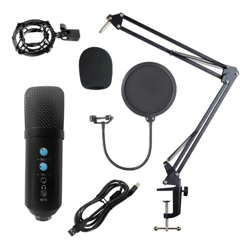 Microfono Bm858 Condenser Profesional Kit Grabacion Negro