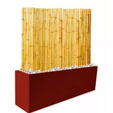 Kit Panel 2m Bambu Maceta De Fibrocemento 100 Cm Color