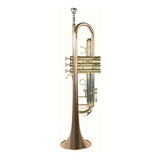 Trompeta Wesner C/estuche Mod. Str1100-g