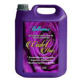 Bidón Acondicionador Matizador Violet Hair 5 Litros