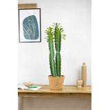 Cactus Planta Artificial Grande 77cm Calidad Premium