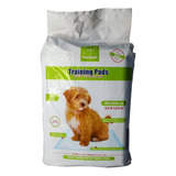 Pack X10 Tapetes Alfombra Absorbente Sanitaria Perro Mascota