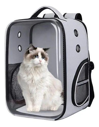 Mochila Transparente Transportadora Para Mascotas Gatos