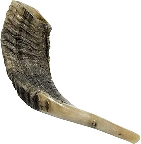 Shofar Tradicional De Israel, Instrumento Musical Natural J.