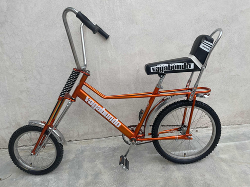 Bicicleta Windsor Vagabundo