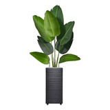 Planta Artificial Arranjo Enfeite Para Sala + Vaso Decoração