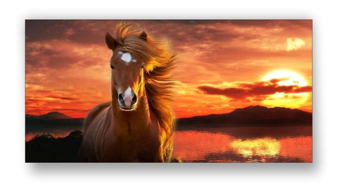 Quadro Decorativo Cavalo Paisagem Pôr Do Sol *peça Unica