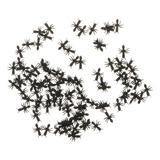 100 Piezas De Plástico Falso Hormigas Modelo Figura Set Ni¿