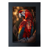 Cuadro De Colección Aves Hermosas Guacamaya Bandera # 2