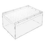 Caja Para Reptiles, Jaula De Cría De Serpientes, Gecko, Rept