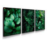 Kit 3 Quadros Plantas Verdes Arte Realista 60x40cm