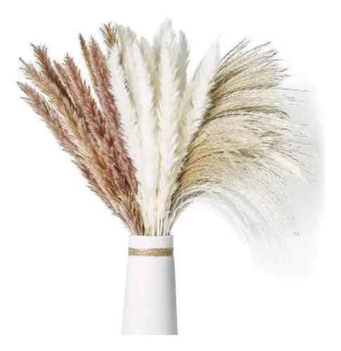 Pampas Secas 60 Pzs Plantas Decorativas Flores Artificiales