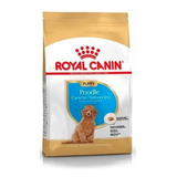 Alimento Royal Canin Poodle Puppy 3 Kg. Np