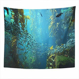 Subently Tapestry Forest Kelp Vistas Debajo De La Planta Eco