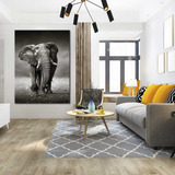 Cuadro Elefante Blanco Y Negro Verticaelegante Canvas  90x60