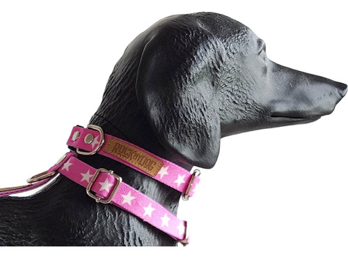 Collar Perro Talle Small Razas Minis Pequeñas Regulable 