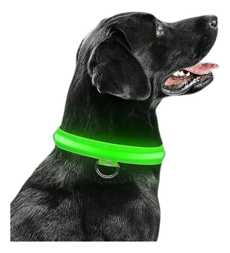 Collar Perro Mascota Led Ajustable Paseo Nocturno Noche Usb