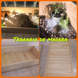 Terrario  Cajon De Madera  Multiuso