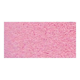 Scrapbook Wow Polvo Embossing 15ml Pastel Pink Rosa