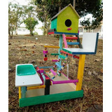 Brinquedo-pássaros-calopsita-playground-casa-piscina