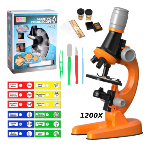 Microscopio De Juguete Para Niños Y Portaobjetos De Vidrio