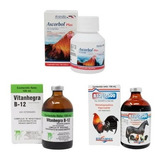 Vitamina B12 5500 + Vitanhegra 100 Ml + Ascorbol 100 Tabs