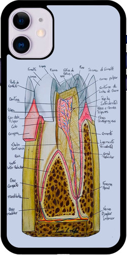 Funda Celular Diseño Anatomia Diente Dentista