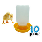 Bebedero Automático Para Codorniz, Pollo, Gallo, 10 Piezas