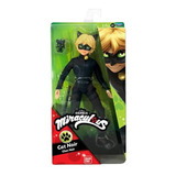 Cat Noir  Miraculous