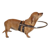 Coleira Cães Cegos-acima De 3k A 8k- S/medida-leia O Anuncio