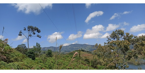 Lote La Zulia, El Peñol - Imagen 2