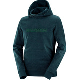 Buzo Canguro Salomon Logo Lt Hoodie Ii M Asfl70