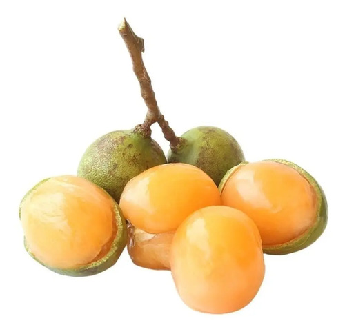 Guaya Huaya C\u002Fsemilla Arbolito  Frutal Enano O Normal Envío  | Meses sin interés
