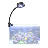 Luz De Coral Led For Acuario De 18wcoral Marino Sps Lps