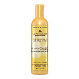 Shampoo La Puissance Activadora De Rulos X300 Ml