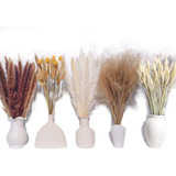 Pampas Secas 50pcs Plantas Decorativas Flores Artificiales