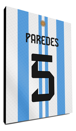 Cuadros Argentina Dorsal Camiseta Plantel Completo Mundial