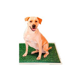 Paño Pet Bandeja Sanitaria Carpet Max