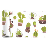 Faixa Border Vaso De Planta Suculenta Cacto Adesivo Kit B194