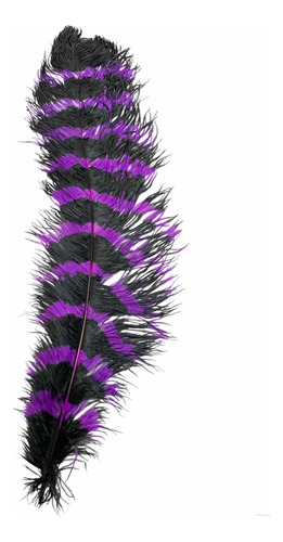 Plumas De Avestruz Jumbo 70/75cm En Colores Cebra